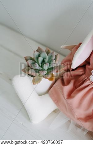 Plush Toy Hare In A Dress And Succulent In A White Keremical Pot.