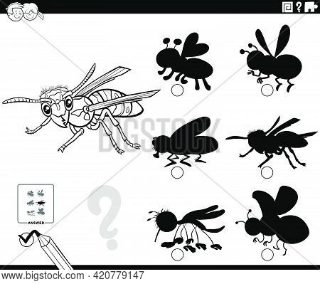 Black And White Cartoon Illustration Of Finding The Right Shadow To The Picture Educational Game For