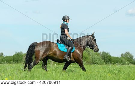 Caucasian Female Horse Rider Is In A Field, Side View.