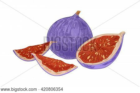 Fresh Whole Fig And Pieces, Cut Half And Quarters With Juicy Fleshy Pulp With Seeds. Exotic Tropical