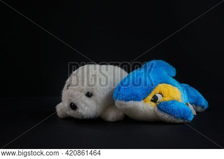 Toys, Soft Childrens Toys: Dolphin And Seal Isolated On Black Background