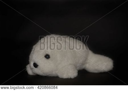 Toys, Soft Childrens Toys Seal Isolated On Black Background