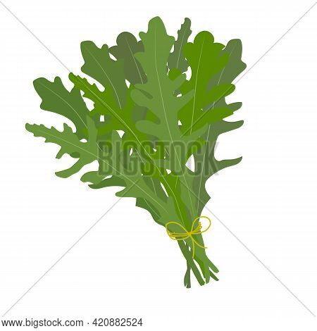 A Bunch Of Fresh Arugula. Vector Illustration In Flat Style.