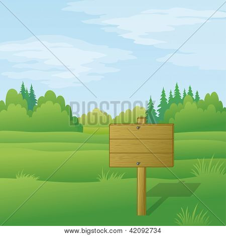 Madera firman en paisaje de verano