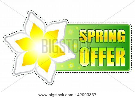 Spring tarjous Green Label kukkia