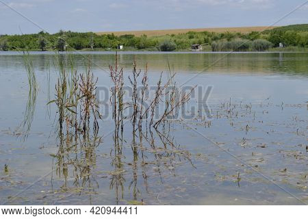 Vrdnik, Serbia - March 02. 2013: Panorama Of An Artificial Lake Called - Borovacko Lake Near The Voj
