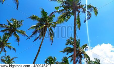 Beautiful Sunny Day At Coconut Tree Hill Mirissa - One Of The Major Tourist Attracted Places In The 