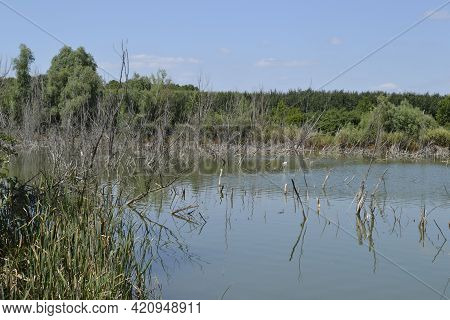 Description: Vrdnik, Serbia - March 02. 2013: Panorama Of An Artificial Lake Called - Borovacko Lake