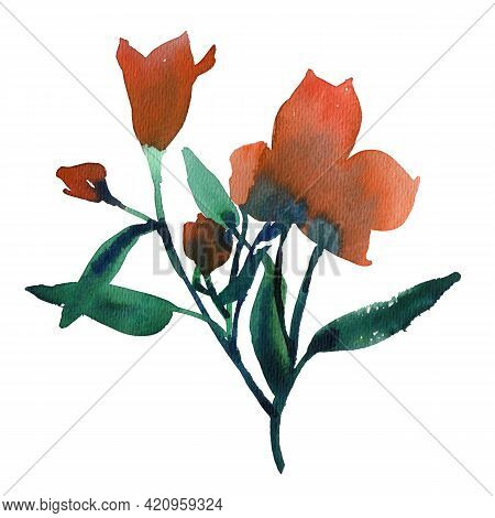 Isolated On White Alstroemeria Flowers. Watercolor Scetch