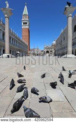 Venice In Italy During The Lockdown With Very Few People And The Pigeons Eating The Crumbs In The Sa