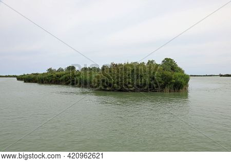 Small Islet With Vegetation On The Mouth Of The Great River Po Near The Adriatic Sea