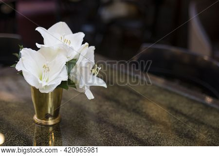 White Amaryllis Flowers In A Steel Vase Are As A Decoration For The Dining Table.