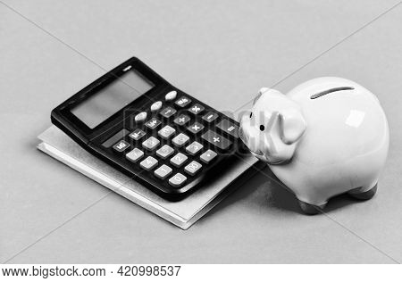 Credit Concept. Calculate Profit. Piggy Bank Pink Pig And Calculator. Finance Manager Job Position. 