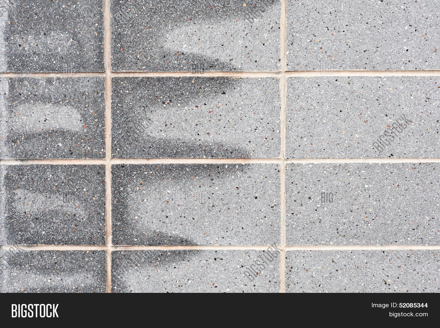 Rising Damp Image Photo Free Trial Bigstock