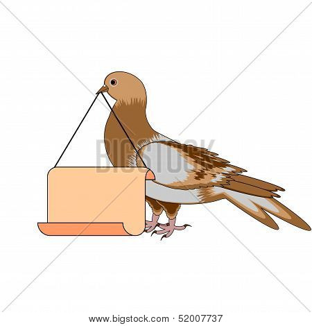 A Pigeon Holding A Big Blank Paper In His Beak