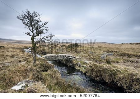 Darmoor Stream