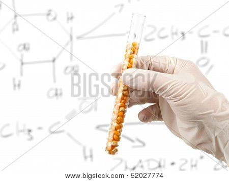 Biofuel Research