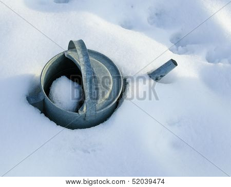 First Snow And Morning Sun