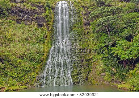Verdant Falls On A Sub Tropical Island