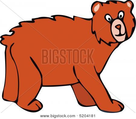 Urso pardo