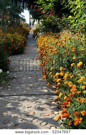 Flowers at Bodrog Monastery in Arad, Romania, Europe