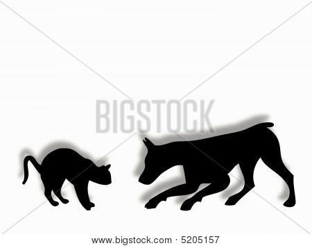猫和狗玩