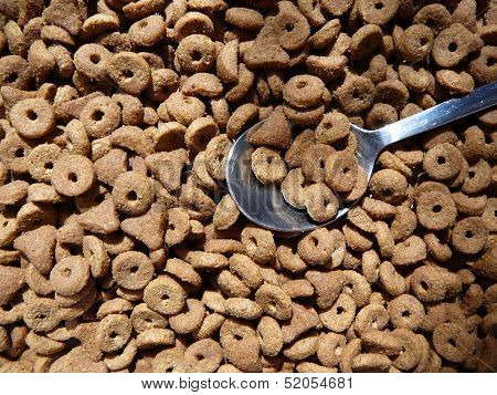 cad dog kitten food with metal spoon