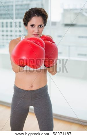 Determined brunette boxing and looking at camera in bright room