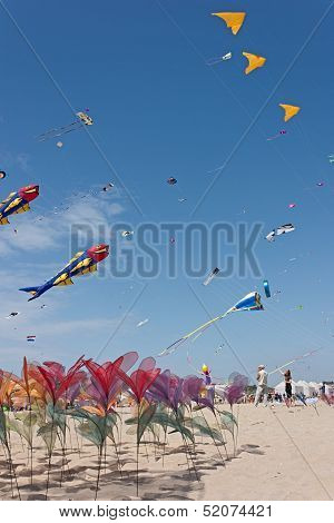 Flowers And Kites