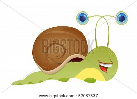 snail