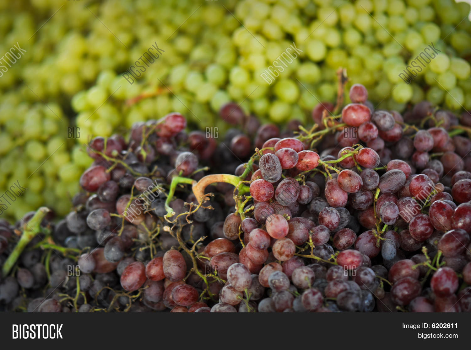 Market Grapes Image & Photo (Free Trial) Bigstock