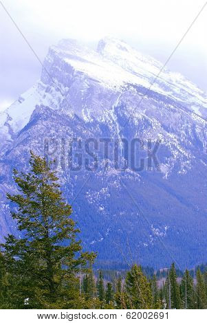 Landscape of high snowy mountains with evegreen trees