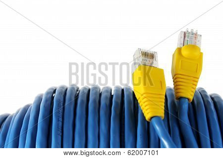 RJ45 Plug with Blue Network Cable