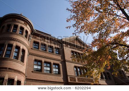 Harvard