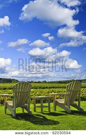 Muskoka chairs and table near vineyard under blue sky
