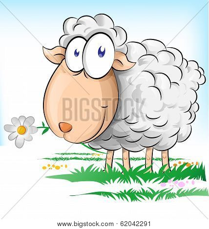 Sheep Cartoon On  Background