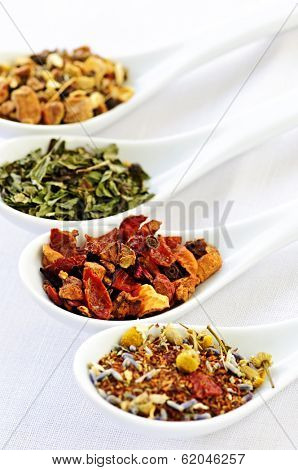 Herbal wellness dried tea in four spoons