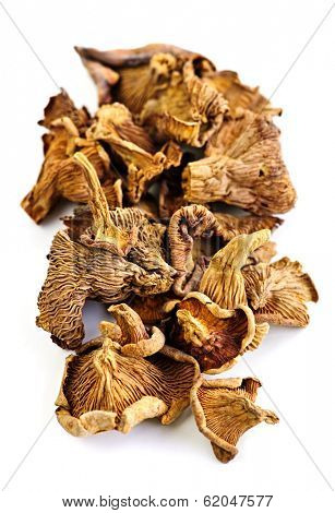 Dried chanterelle mushrooms isolated on white background