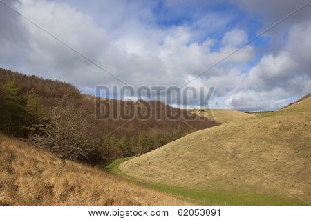 Yorkshire Wolds Hillsides