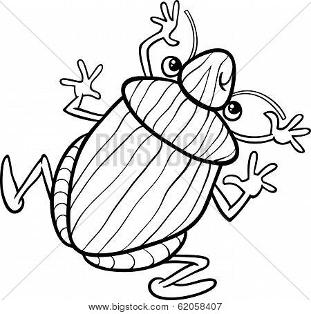 Shield Bug Insect Coloring Page