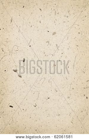 Background of blank vintage parchment paper sheet with fibers