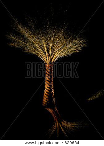 Palm_reflection