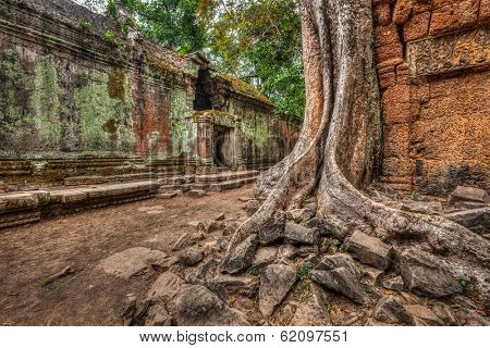 High dynamic range (hdr) image of  ancient ruins with trees, Ta Prohm temple, Angkor, Cambodia