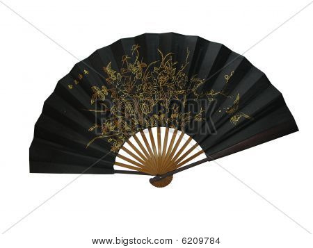 Asya Fan