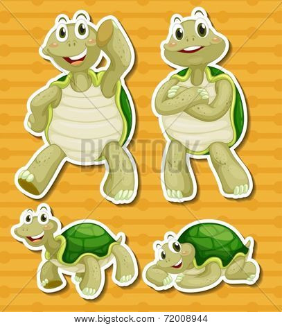 illustration of a turtle with different poses