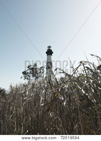Bodie Lighthouse and swamp grass, Outer Banks, North Carolina