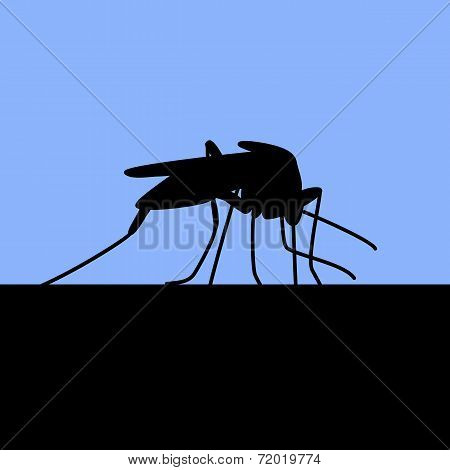 black silhouette of biting mosquito