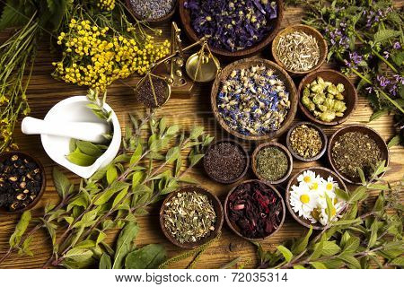 Natural medicine, herbs