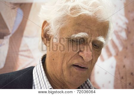 Ziraldo, Brazilian Author, Painter, Comic Creator, And Journalist.