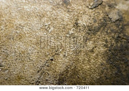 着用革テクスチャ